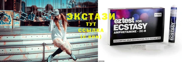индика Медногорск