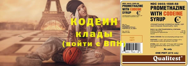 индика Медногорск