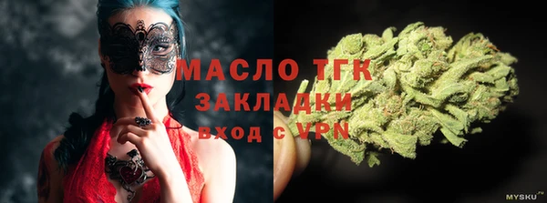 индика Михайлов