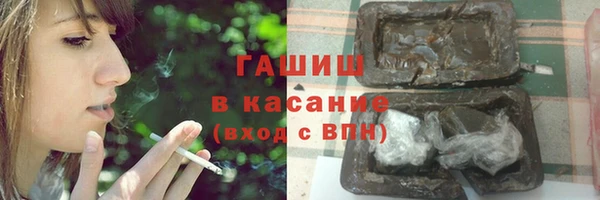 индика Медногорск