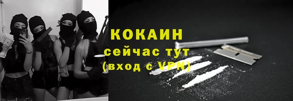 индика Медногорск