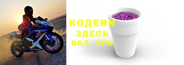 индика Михайлов