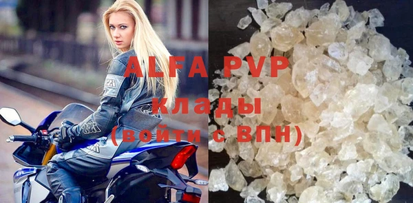 индика Михайлов