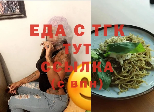 индика Медногорск