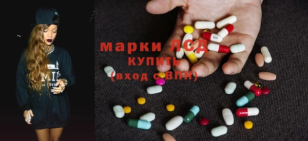 индика Михайлов