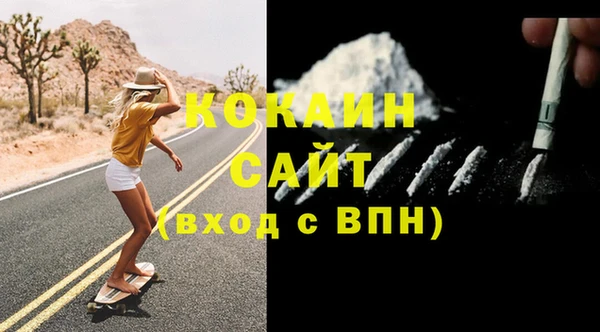 индика Михайлов