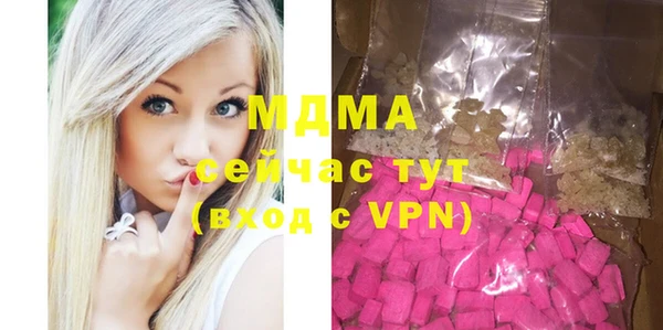 индика Медногорск
