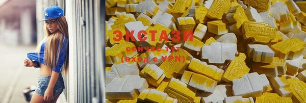 индика Медногорск