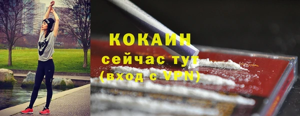 индика Медногорск