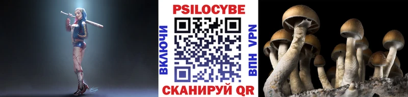 Псилоцибиновые грибы ЛСД  Камбарка 